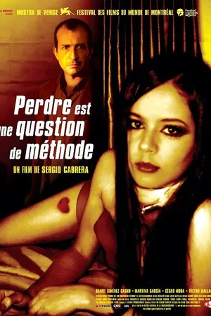 Постер к фильму Искусство терять (2004)