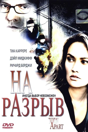 Постер к фильму На разрыв (2004)