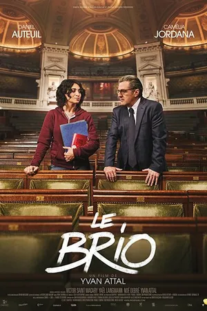 Постер к фильму Блестяще (2017)