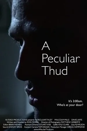Постер к фильму A Peculiar Thud (2017)
