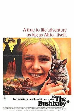 Постер к фильму The Bushbaby (1969)
