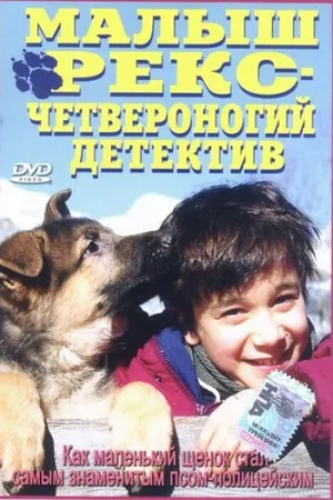 Постер к фильму Малыш Рекс – четвероногий детектив (1997)