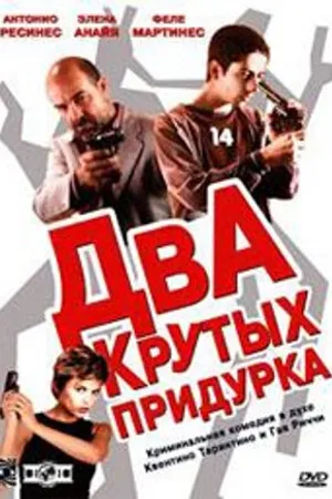 Постер к фильму Два крутых придурка (2003)