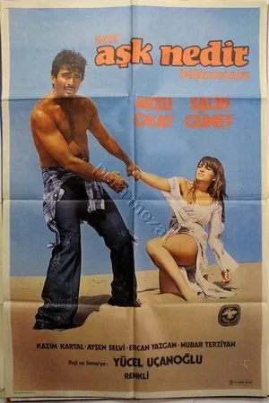 Постер к фильму Sen Ask Nedir Bilir misin (1978)