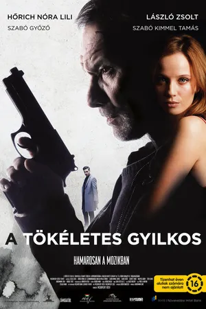 Постер к фильму Идеальный убийца (2017)