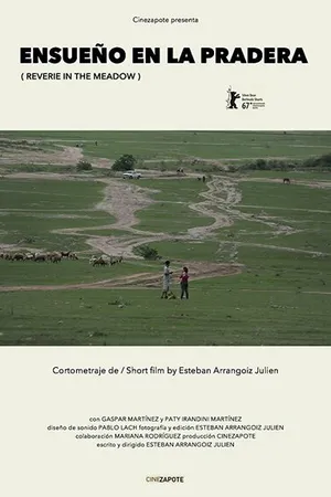 Постер к фильму Ensueño en la Pradera (2017)