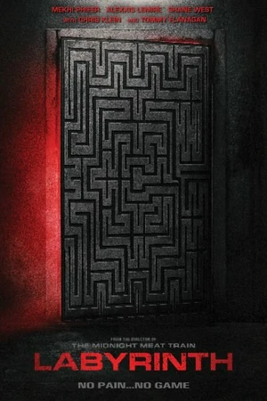 Постер к фильму Labyrinth (2025)