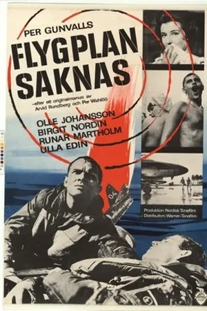 Постер к фильму Flygplan saknas (1965)
