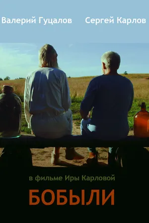 Постер к фильму Бобыли (2016)