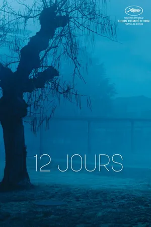 Постер к фильму 12 дней (2017)