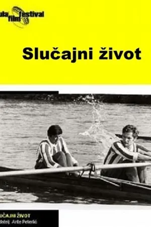 Постер к фильму Случайная жизнь (1969)