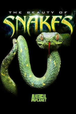 Постер к фильму Beauty of Snakes (2003)