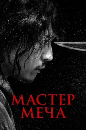 Постер к фильму Мастер меча (2020)
