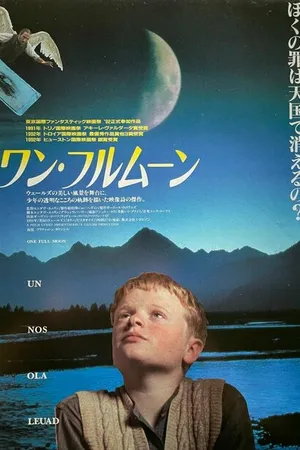 Постер к фильму Однажды лунной ночью (1991)