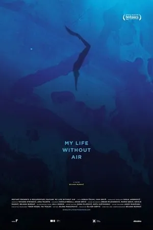 Постер к фильму My Life Without Air (2017)