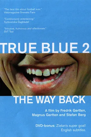 Постер к фильму Истинно синий 2 — Путь домой (2002)