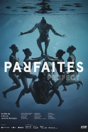 Постер к фильму Perfect (2016)