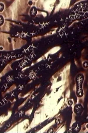Постер к фильму Чёрный монах (1968)