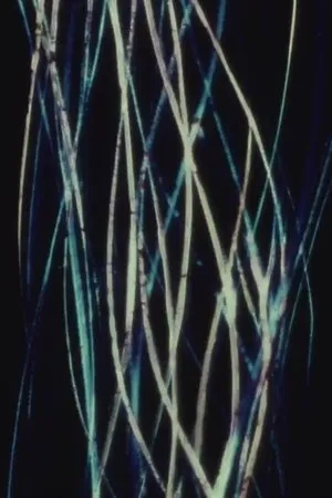 Постер к фильму Жалюзи (1967)