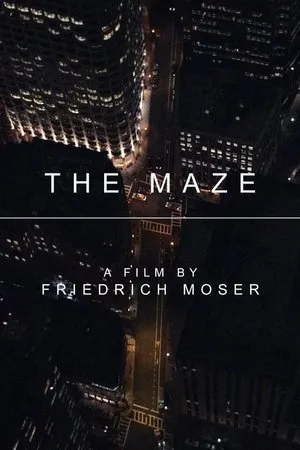 Постер к фильму The Maze (2017)