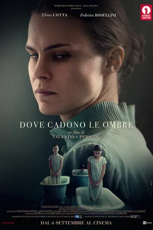 Постер к фильму Где падают тени (2017)