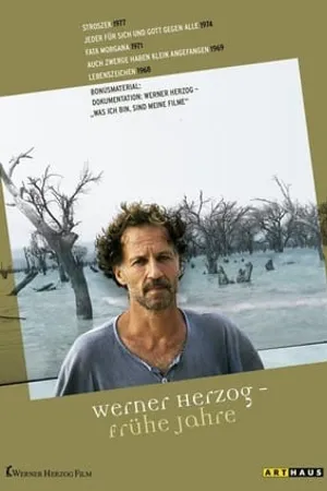 Постер к фильму Я — это мои фильмы, часть 2, через 30 лет (2010)