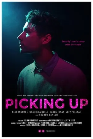 Постер к фильму Picking Up (2017)
