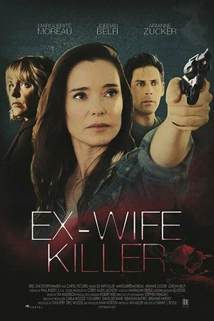 Постер к фильму Свидетель (2017)