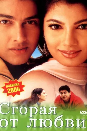 Постер к фильму Сгорая от любви (2002)