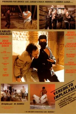 Постер к фильму Приговор обжалованию не подлежит (1987)