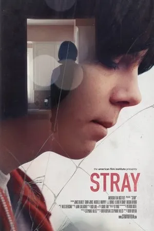 Постер к фильму Stray (2017)