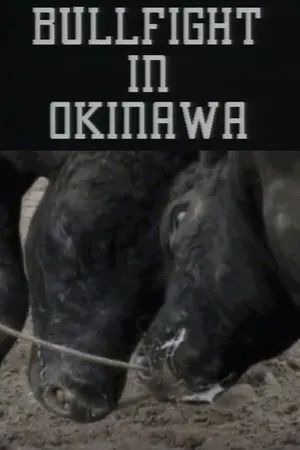 Постер к фильму Bullfight in Okinawa (1994)