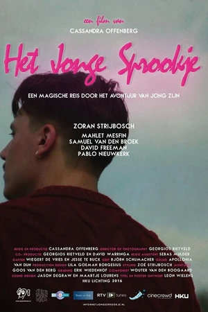 Постер к фильму Het jonge sprookje (2016)