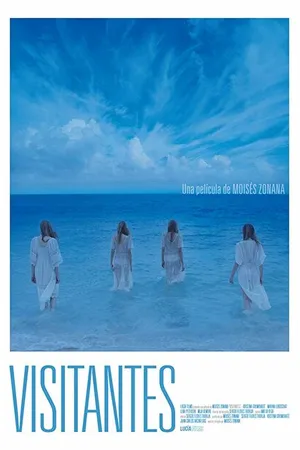 Постер к фильму Visitors (2017)