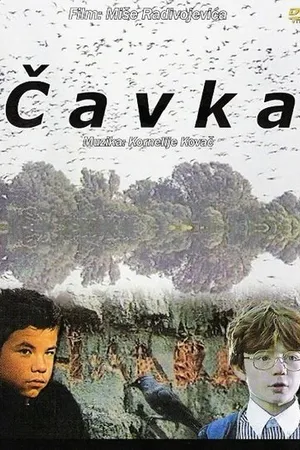Постер к фильму Галка (1988)