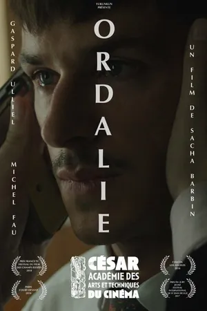 Постер к фильму Испытание (2017)