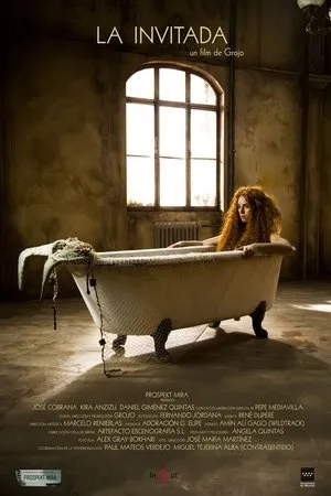 Постер к фильму La invitada (2017)