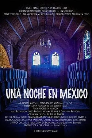 Постер к фильму One Night In Mexico (2016)