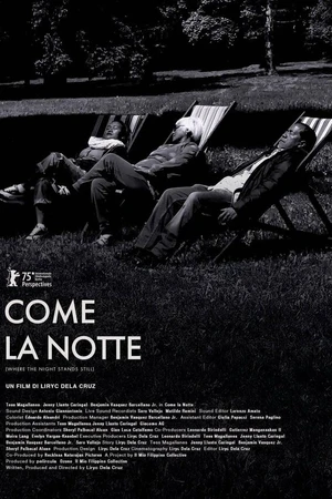 Постер к фильму Come la notte (2025)