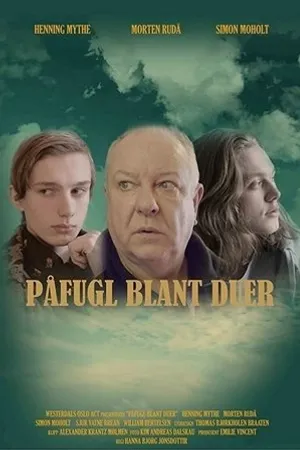 Постер к фильму Påfugl Blant duer (2017)