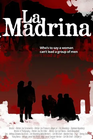 Постер к фильму La Madrina (2017)