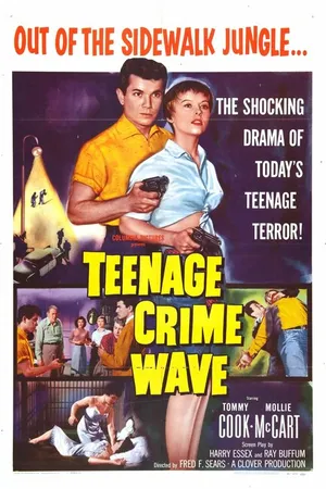Постер к фильму Teen-Age Crime Wave (1955)