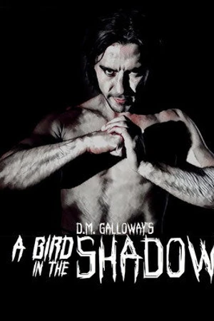 Постер к фильму A Bird in the Shadow (2017)