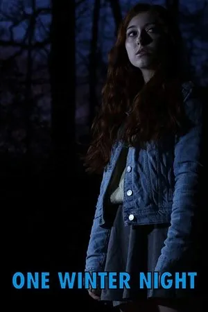 Постер к фильму One Winter Night (2019)