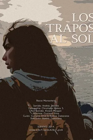 Постер к фильму Тряпьё на солнце (2014)