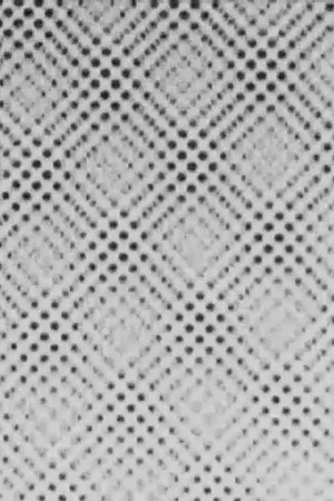 Постер к мультфильму Phenomenon No. 1 (1965)