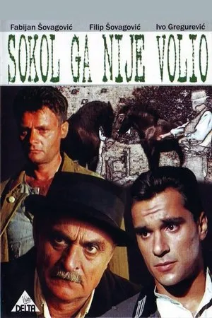 Постер к фильму Sokol ga nije volio (1988)