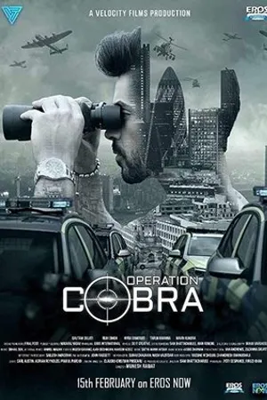 Постер к сериалу Operation Cobra (2019)