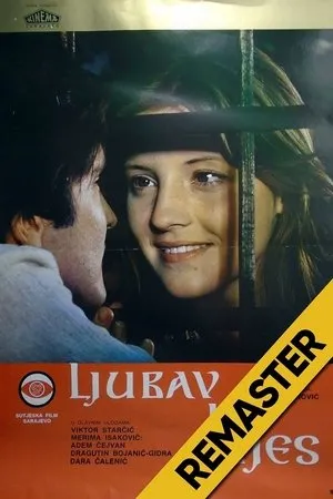 Постер к фильму Ljubav i bijes (1978)