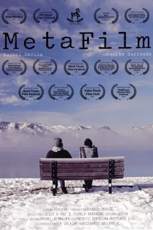 Постер к фильму MetaFilm (2017)